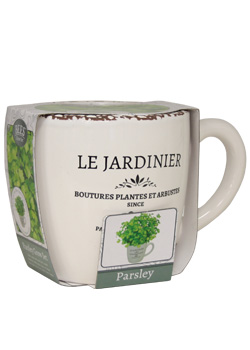 Parsley Planter